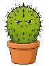 A cactus in a pot